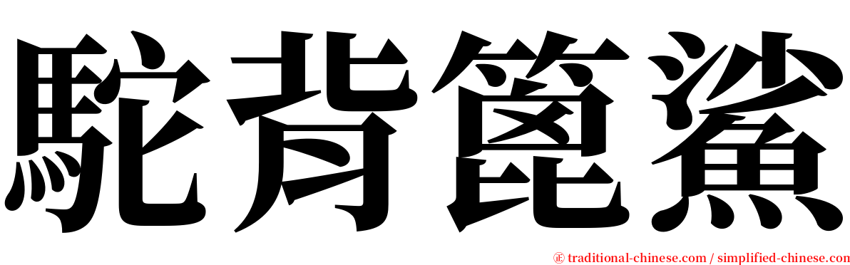 駝背篦鯊 serif font