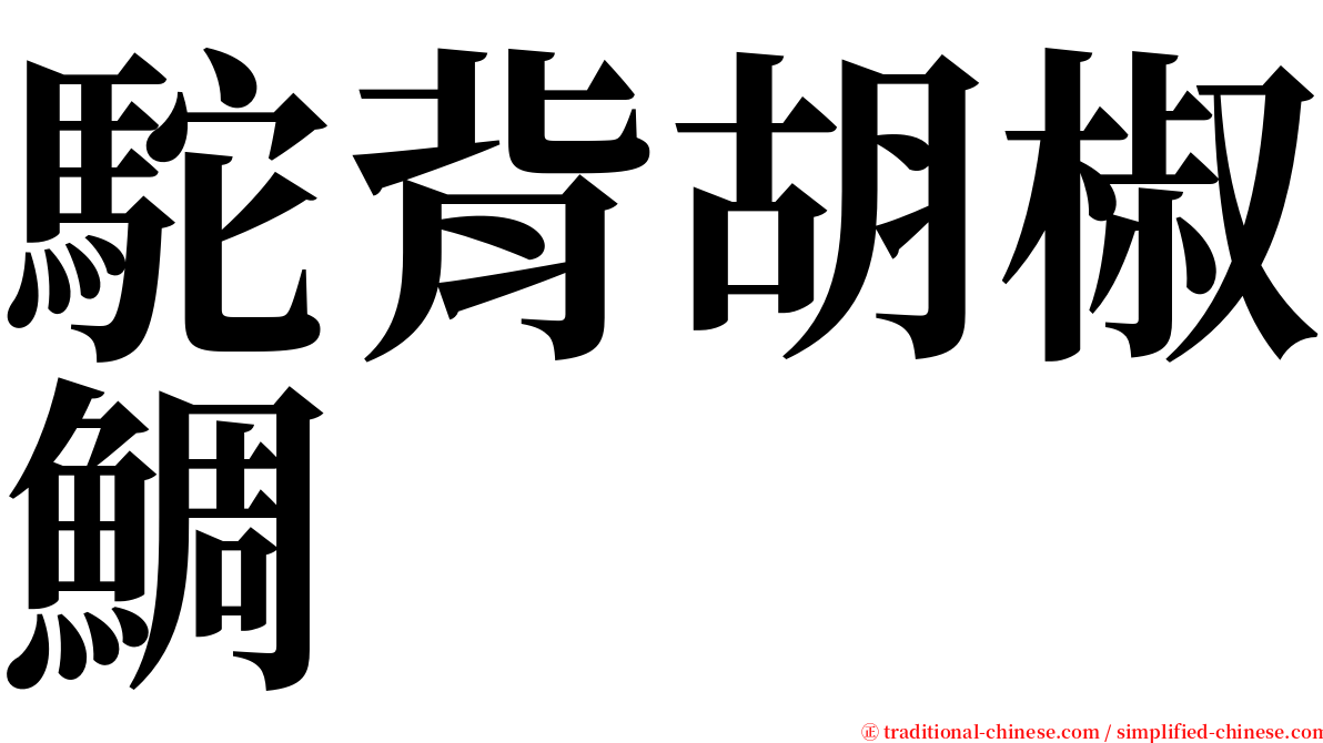 駝背胡椒鯛 serif font