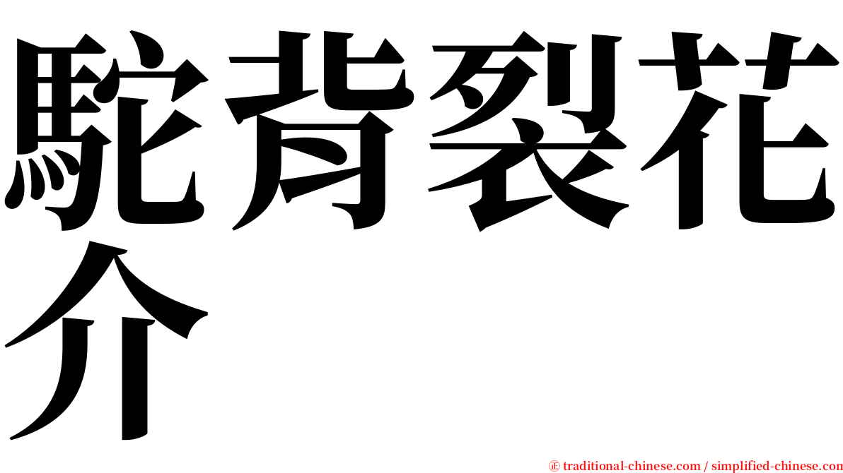 駝背裂花介 serif font