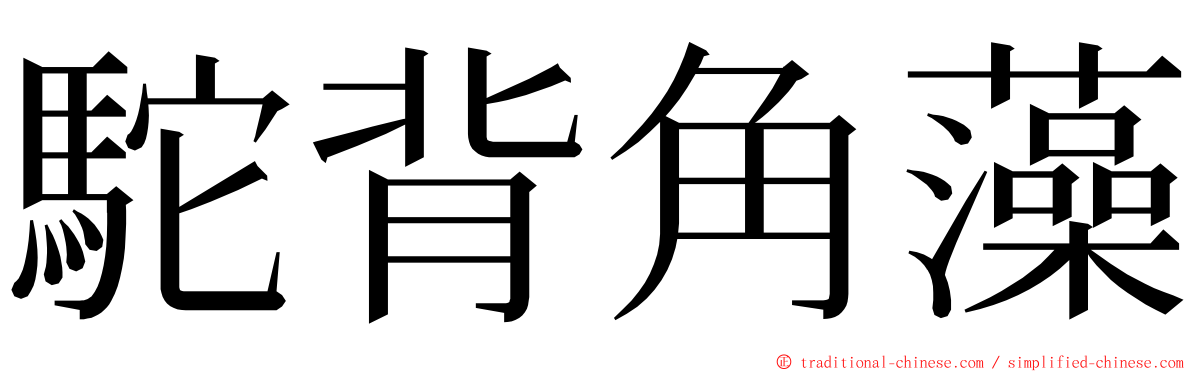 駝背角藻 ming font