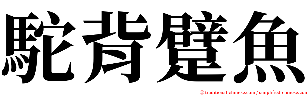 駝背躄魚 serif font