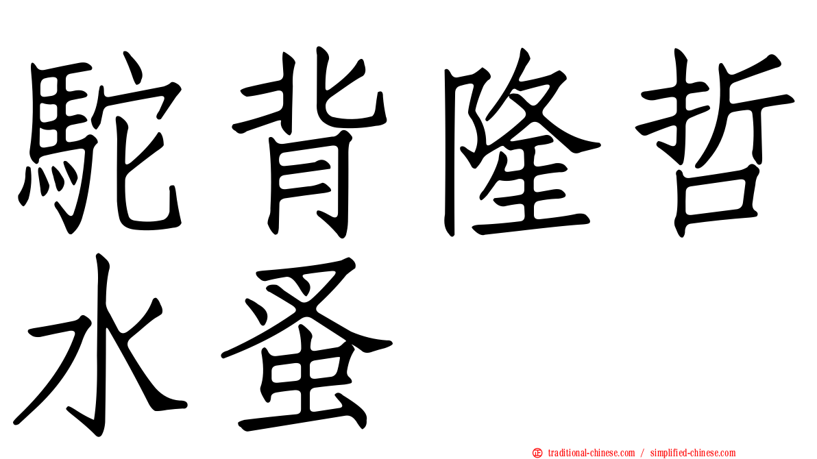 駝背隆哲水蚤