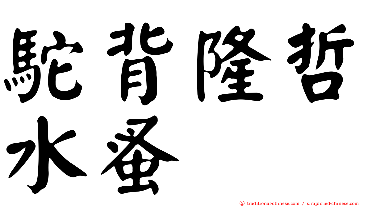駝背隆哲水蚤