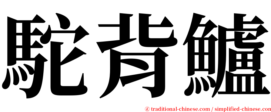 駝背鱸 serif font