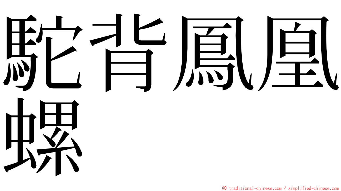 駝背鳳凰螺 ming font