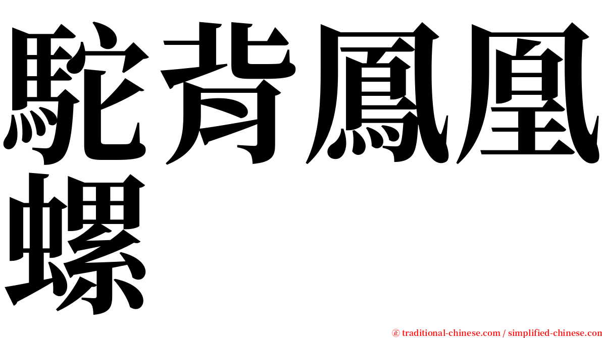 駝背鳳凰螺 serif font