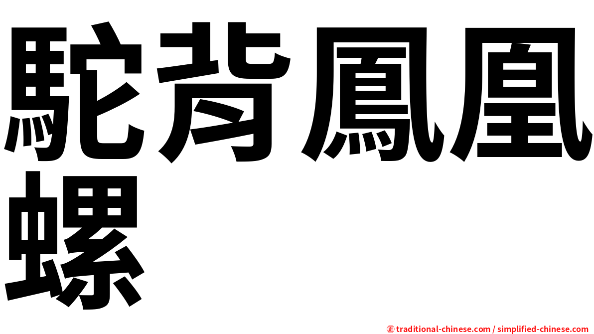 駝背鳳凰螺