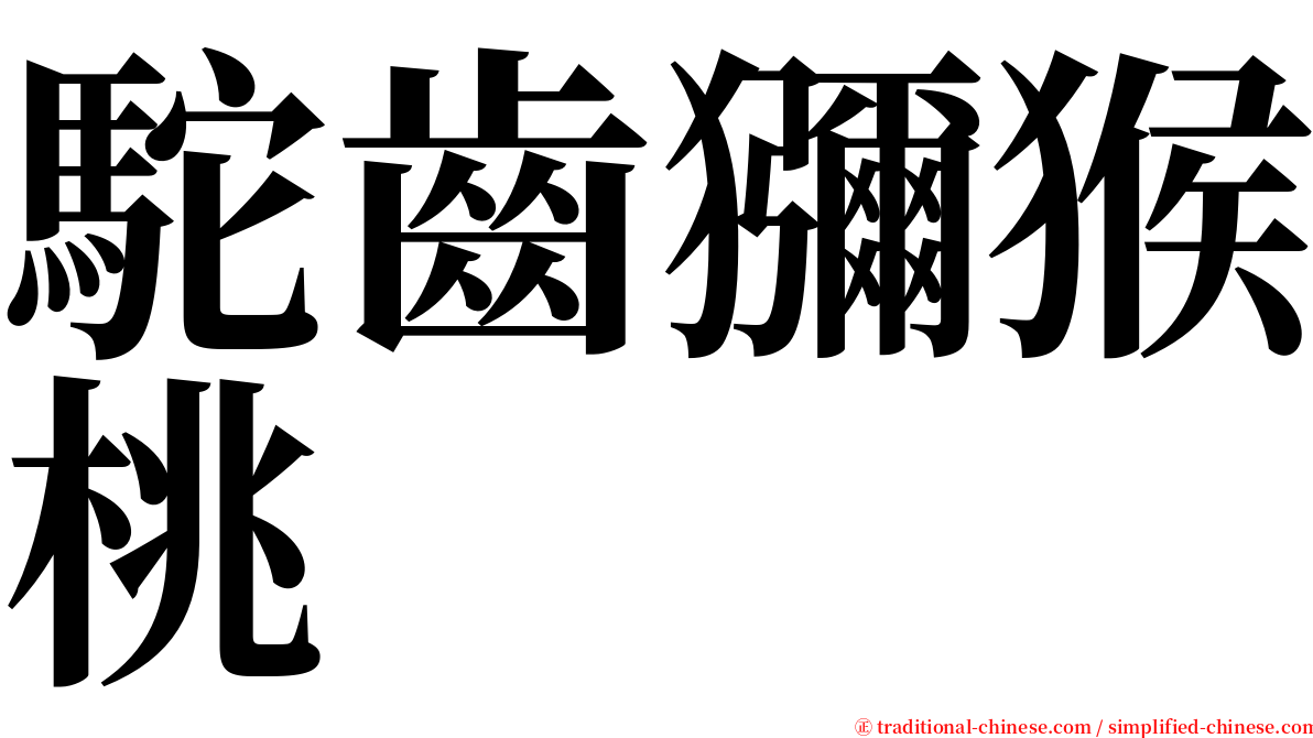 駝齒獼猴桃 serif font