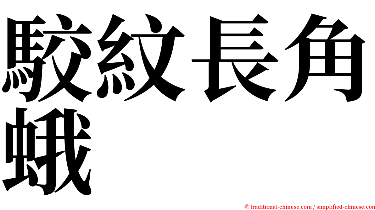 駮紋長角蛾 serif font