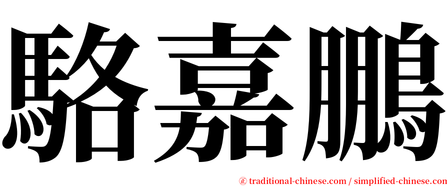 駱嘉鵬 serif font