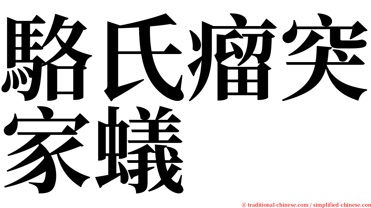 駱氏瘤突家蟻 serif font