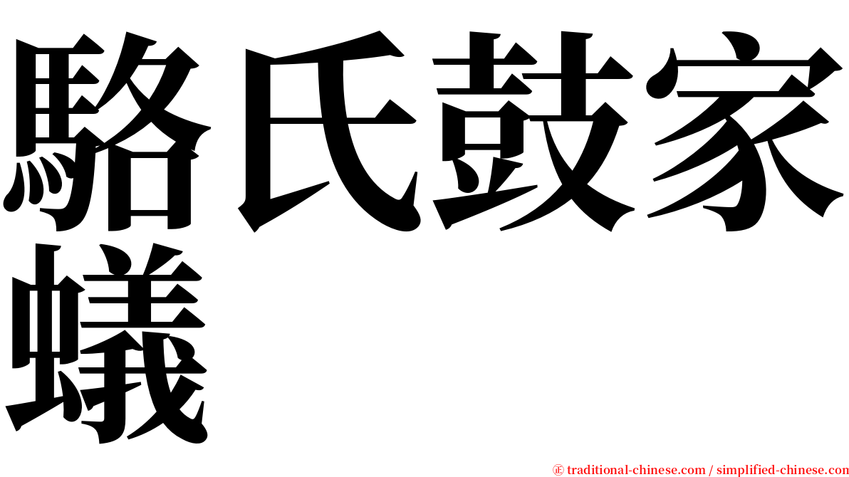 駱氏鼓家蟻 serif font