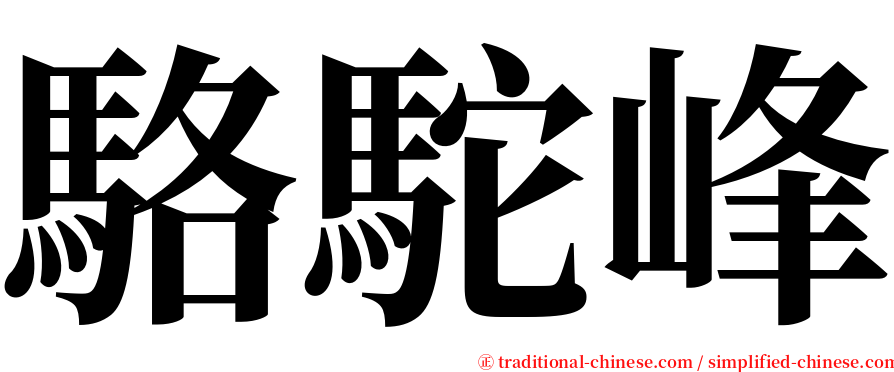 駱駝峰 serif font