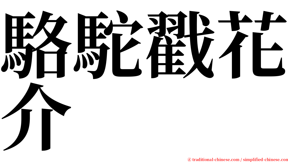 駱駝戳花介 serif font