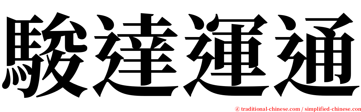 駿達運通 serif font