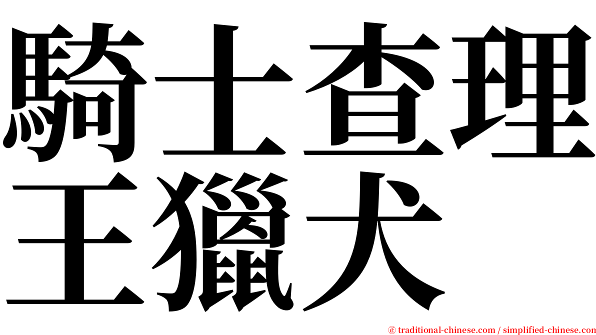 騎士查理王獵犬 serif font