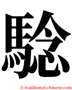 騐 serif font