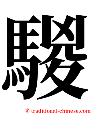 騣 serif font