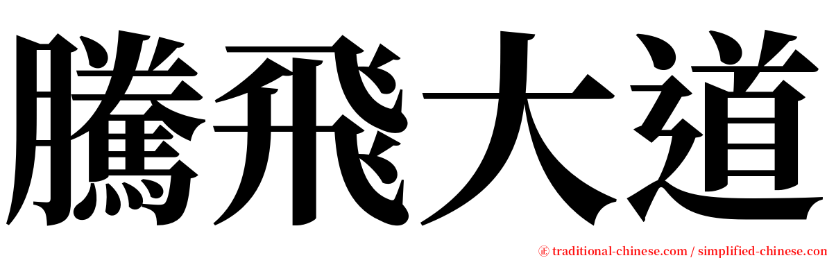 騰飛大道 serif font