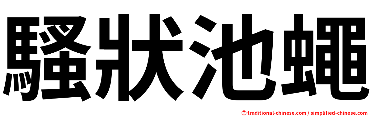 騷狀池蠅