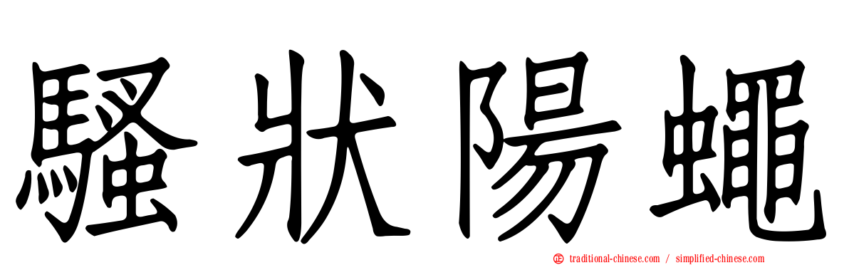 騷狀陽蠅