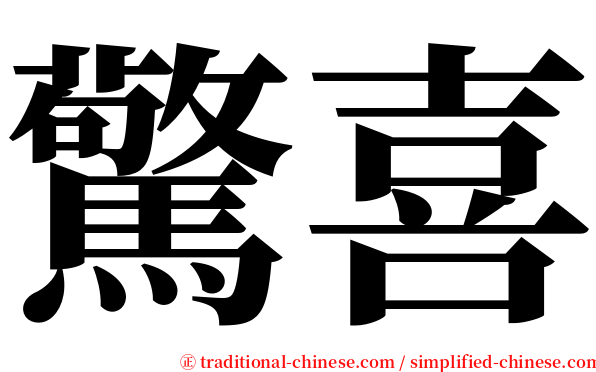 驚喜 serif font