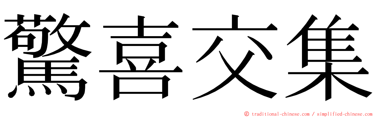 驚喜交集 ming font