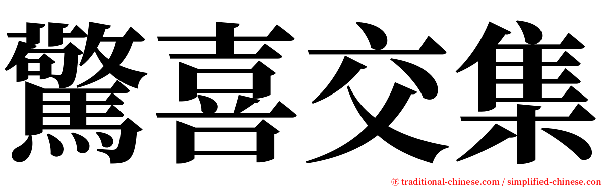 驚喜交集 serif font