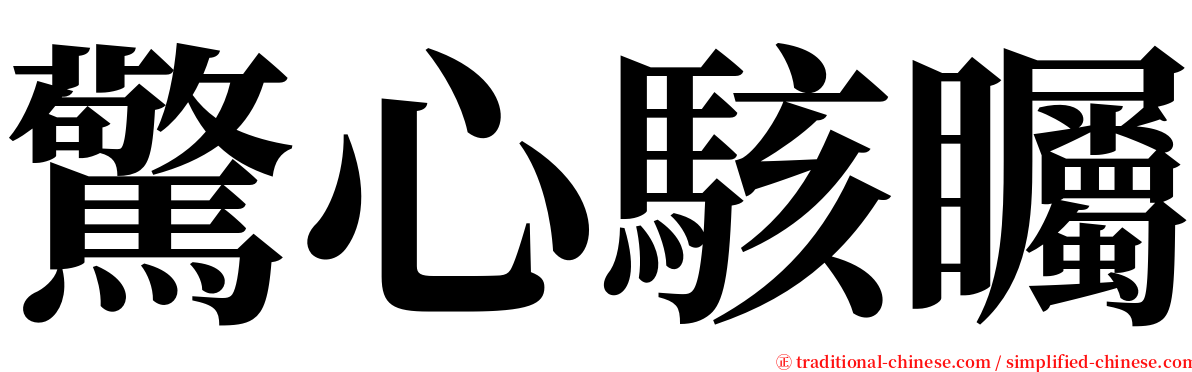 驚心駭矚 serif font