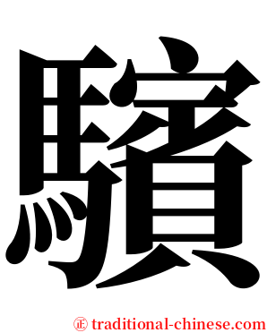 驞 serif font