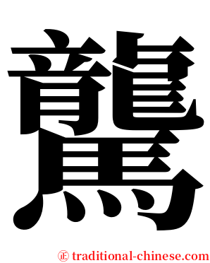 驡 serif font