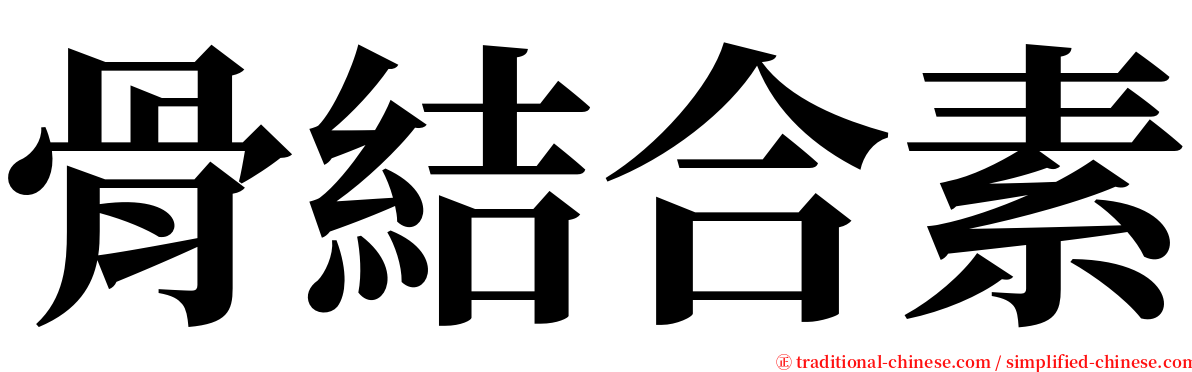 骨結合素 serif font