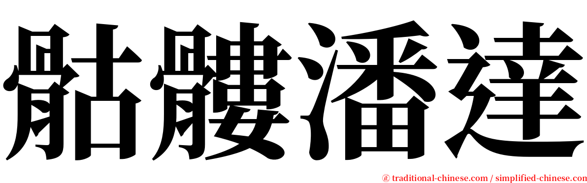 骷髏潘達 serif font