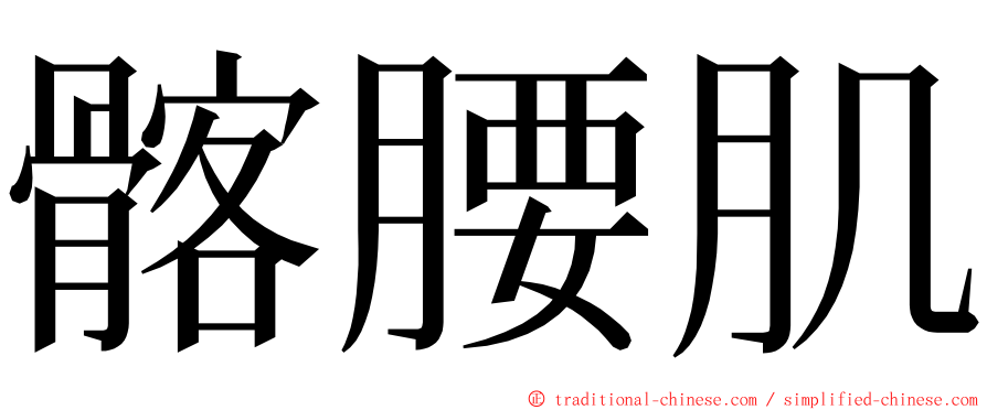 髂腰肌 ming font