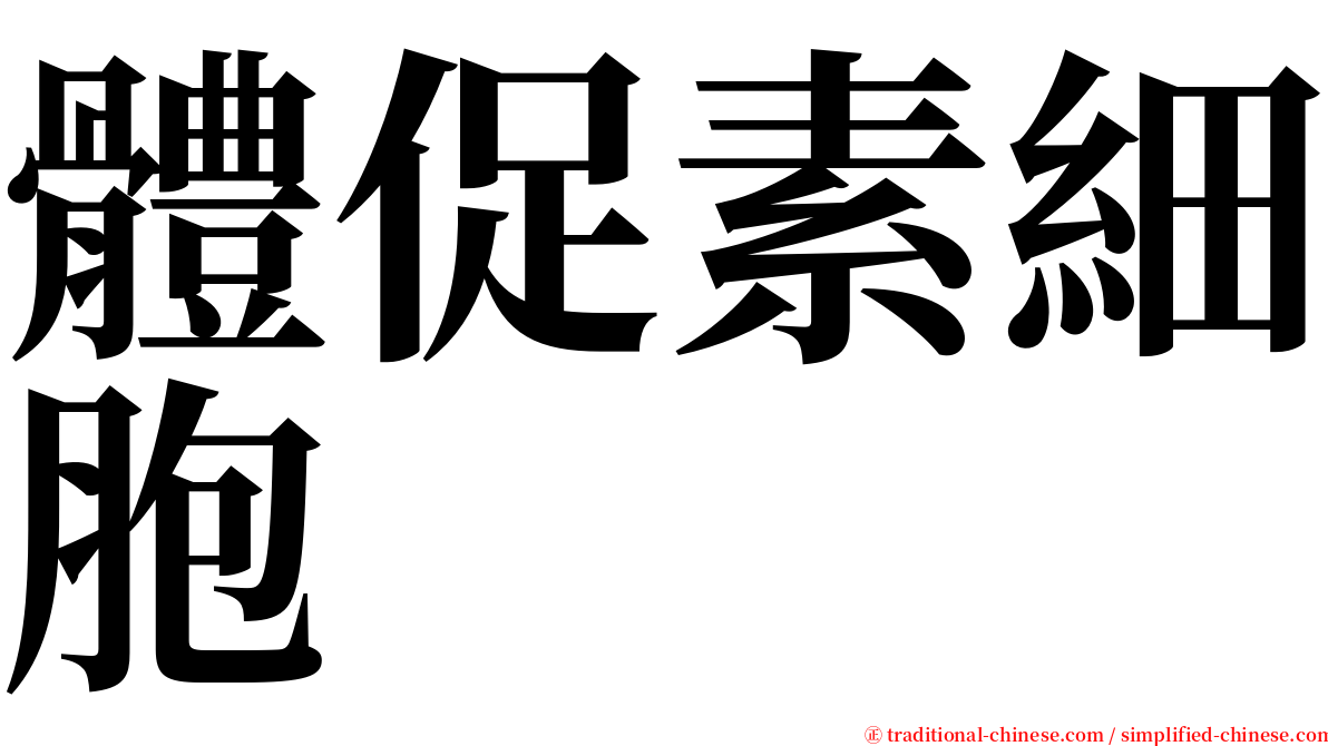 體促素細胞 serif font