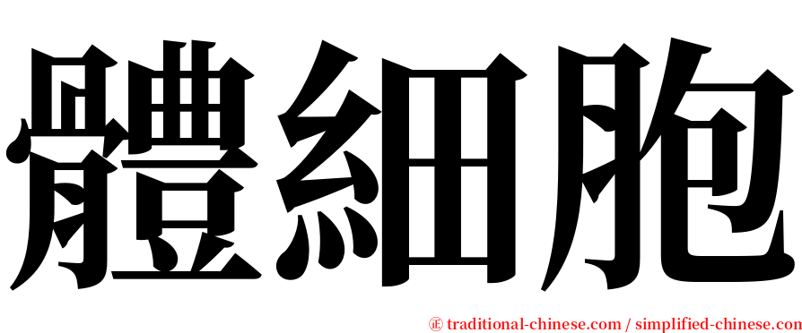 體細胞 serif font