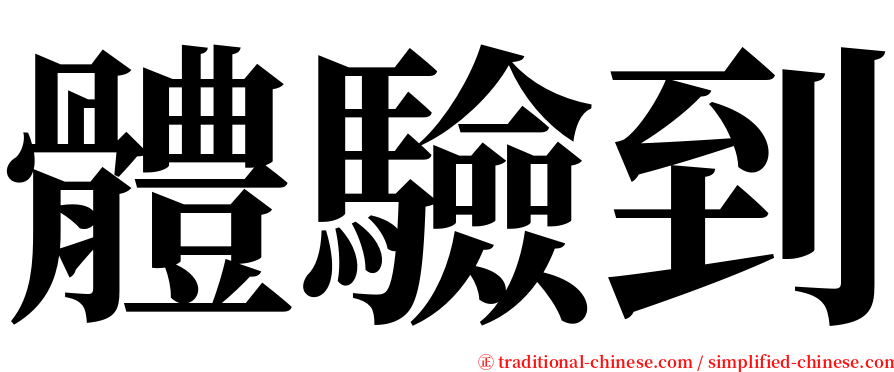 體驗到 serif font