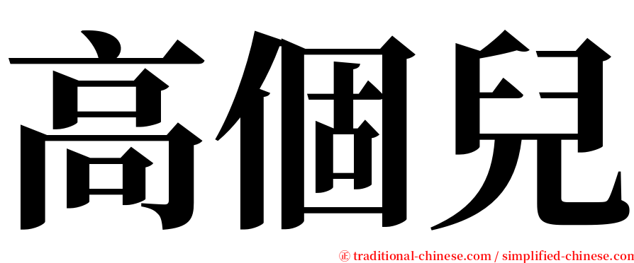 高個兒 serif font