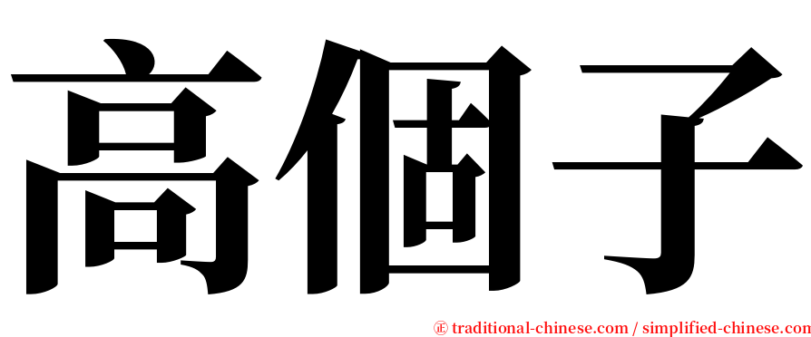 高個子 serif font