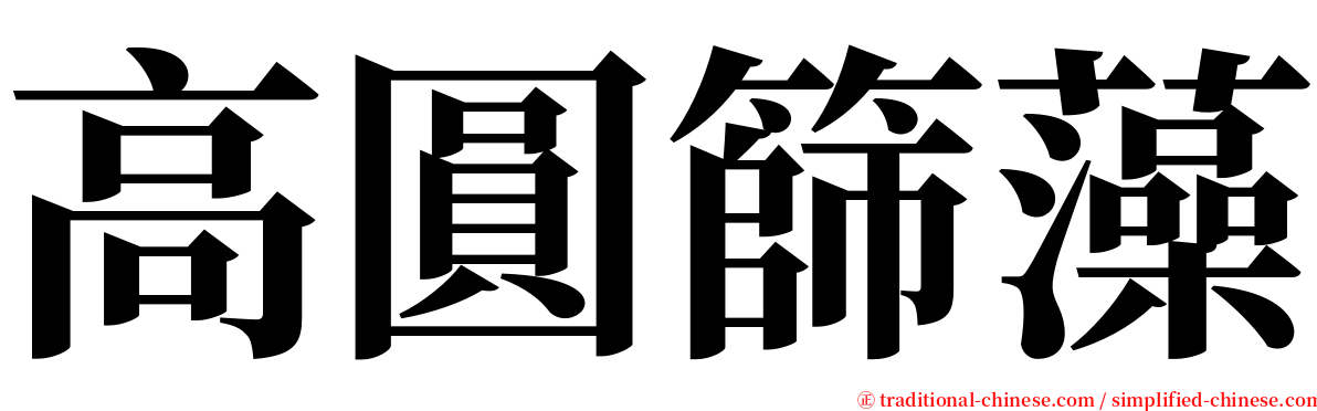 高圓篩藻 serif font