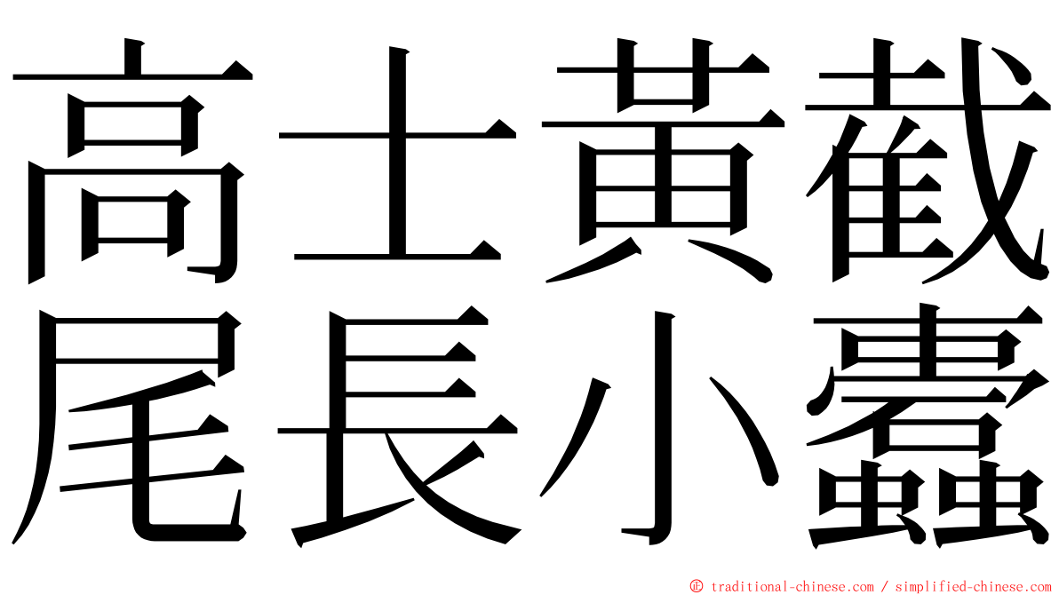 高士黃截尾長小蠹 ming font
