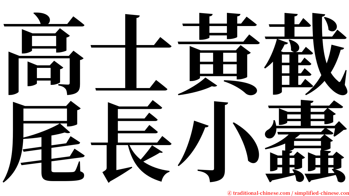 高士黃截尾長小蠹 serif font