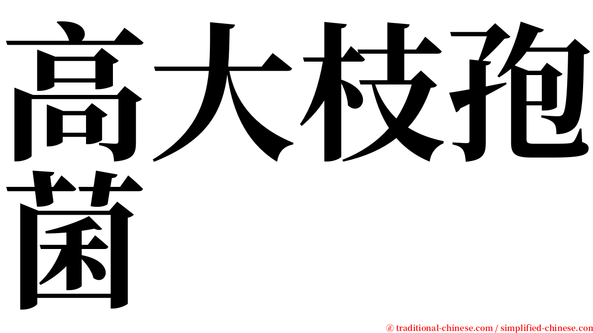 高大枝孢菌 serif font