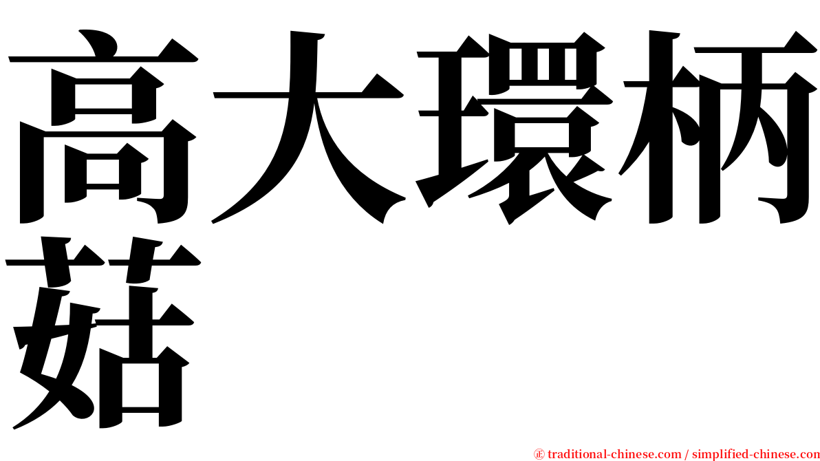 高大環柄菇 serif font