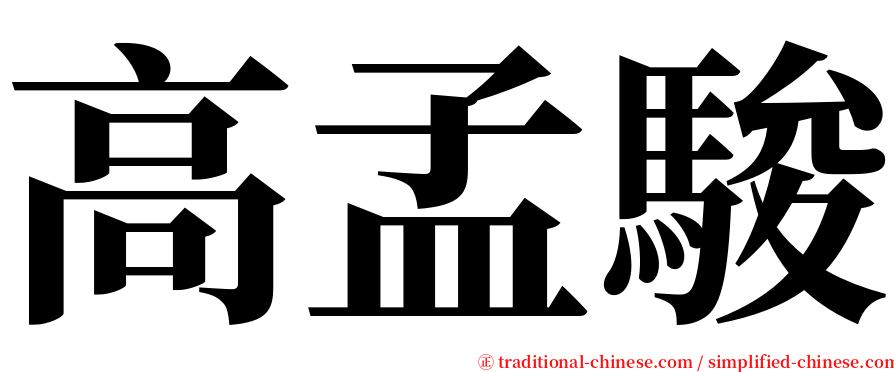 高孟駿 serif font