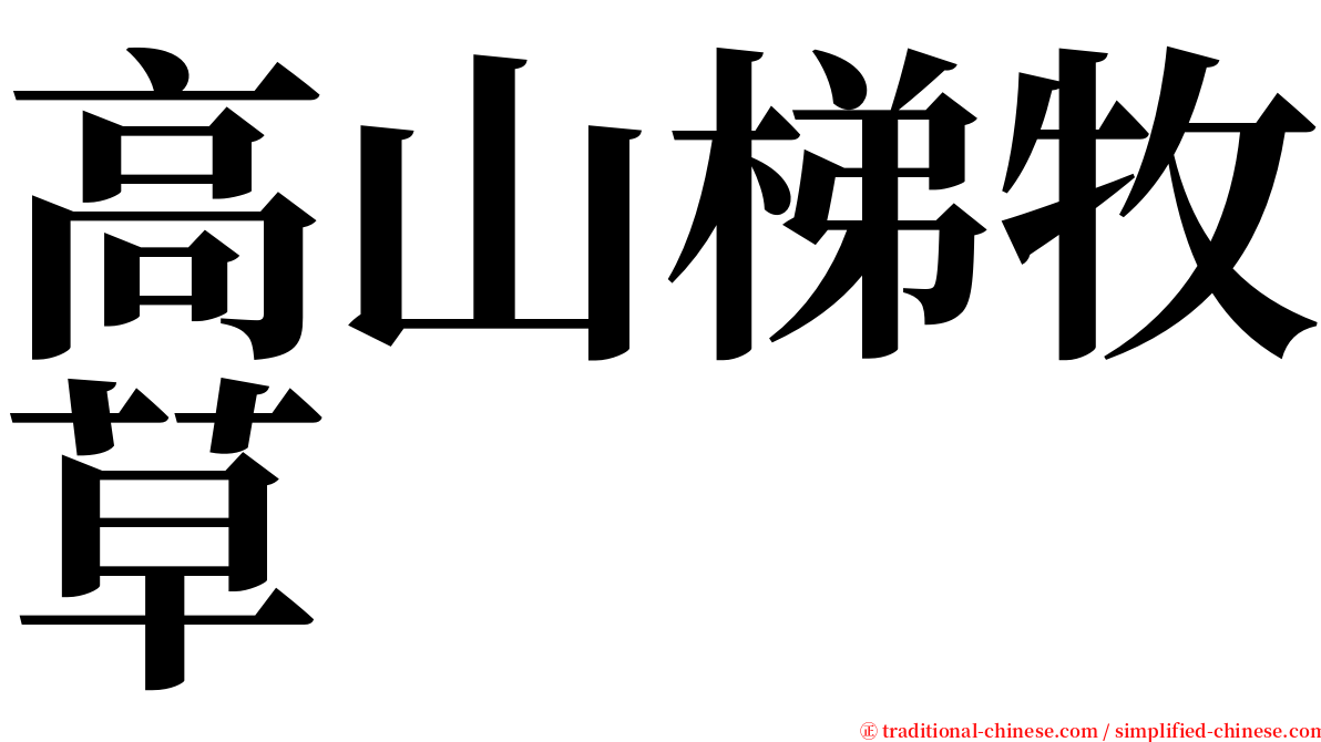 高山梯牧草 serif font