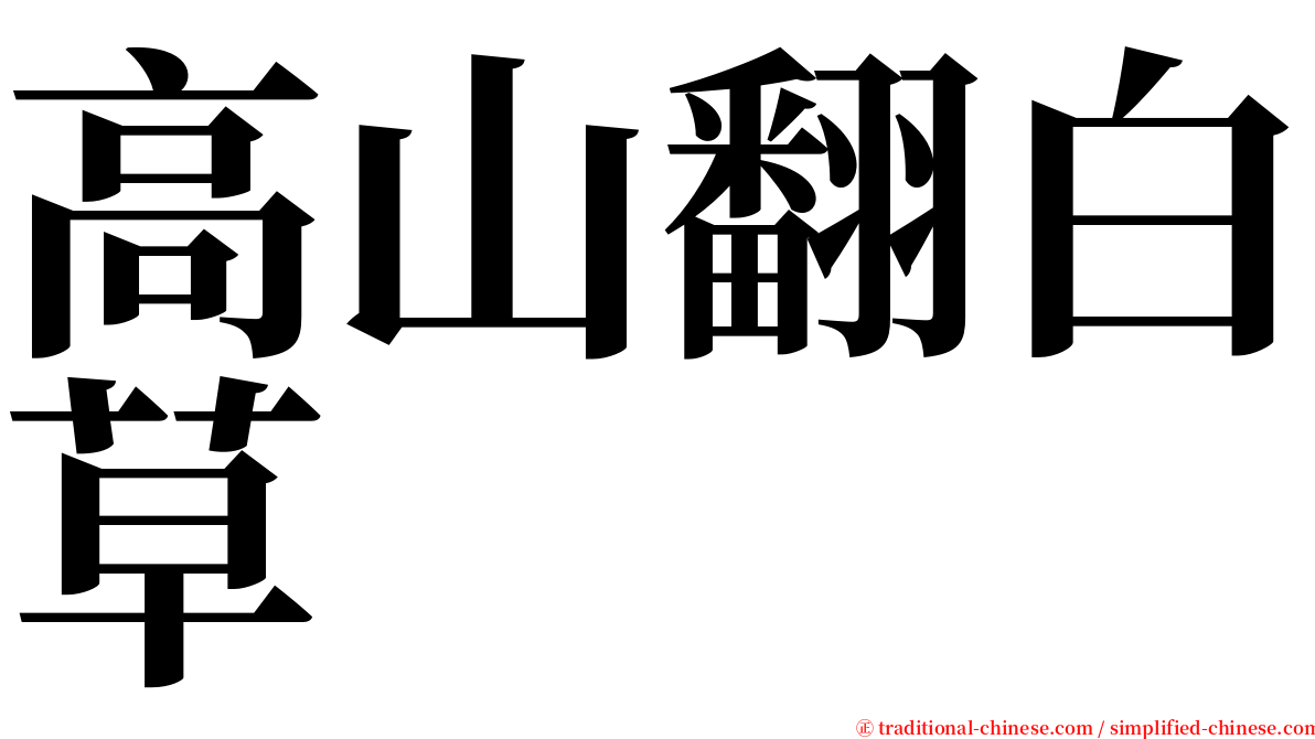 高山翻白草 serif font