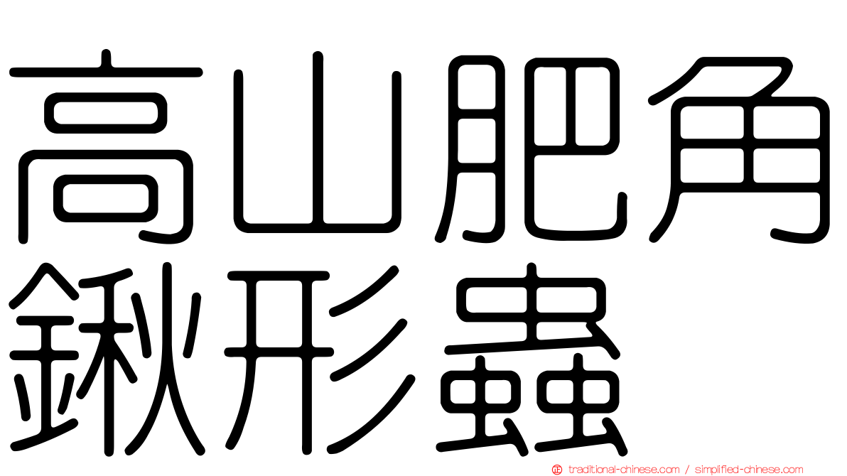 高山肥角鍬形蟲