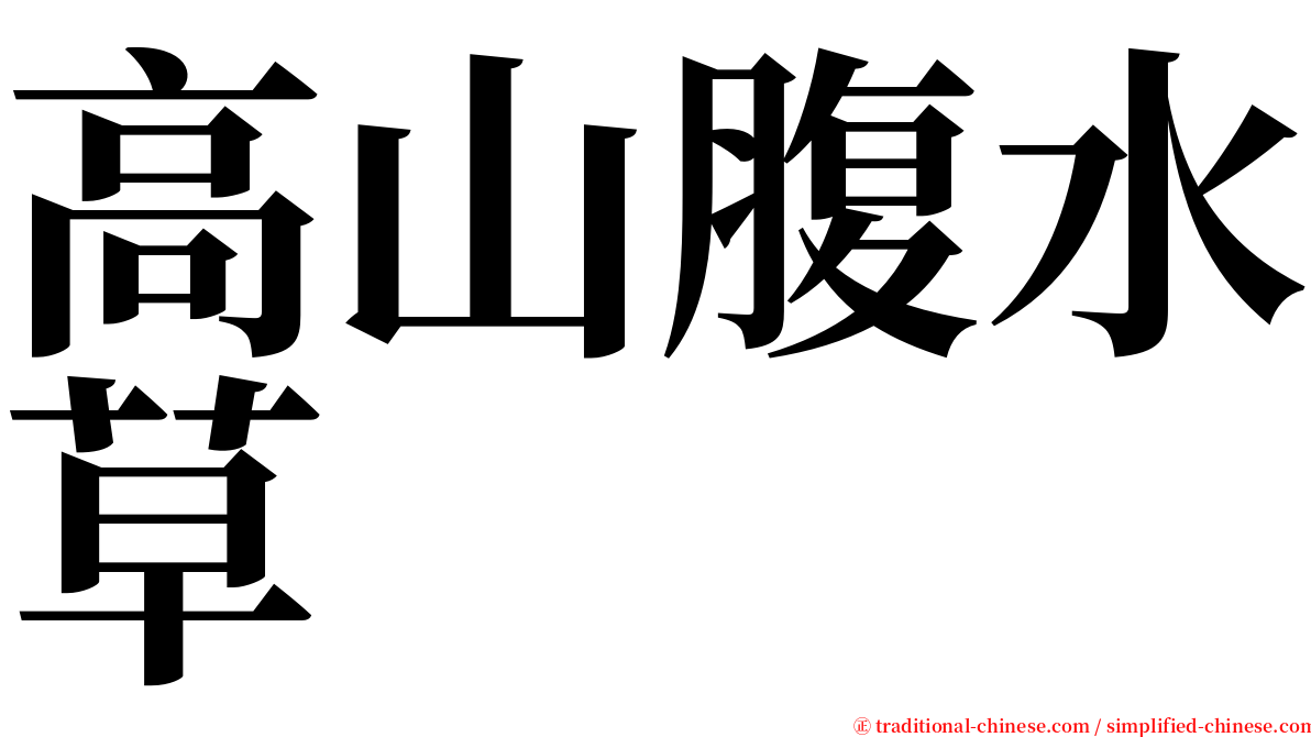 高山腹水草 serif font