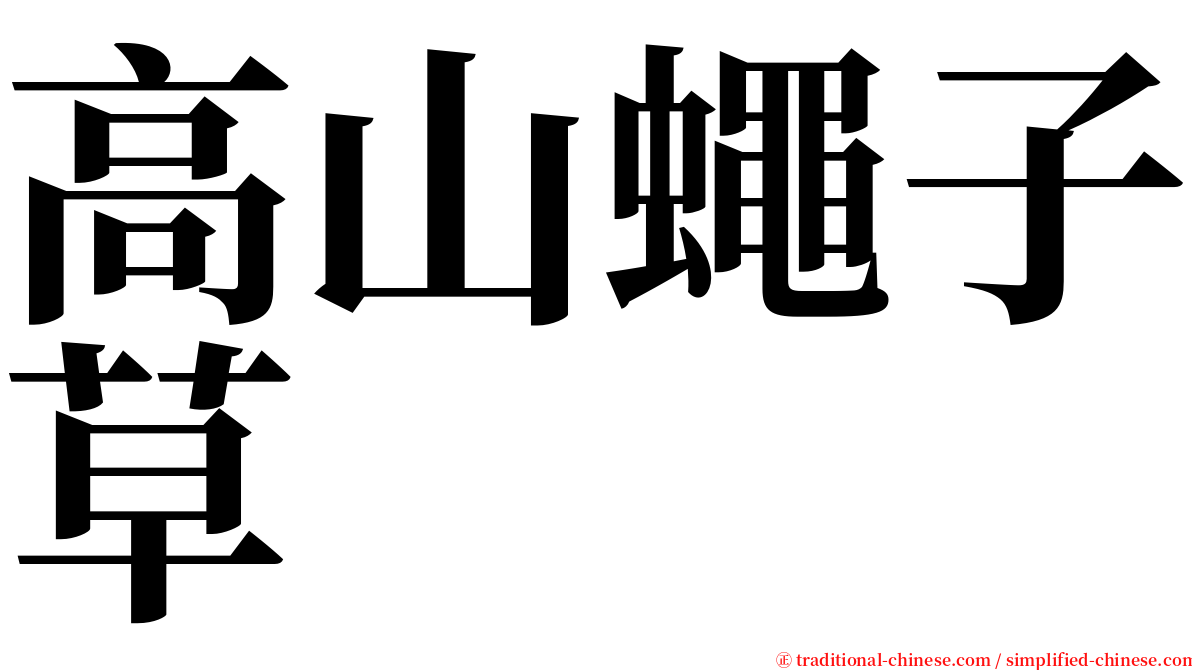 高山蠅子草 serif font